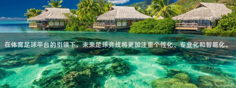 在体育足球平台的引领下，未来足球竞技将更加注重个性化、专业化和智能化。